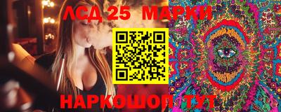 ПСИЛОЦИБИНОВЫЕ ГРИБЫ Можга