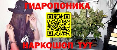 ПСИЛОЦИБИНОВЫЕ ГРИБЫ Моздок