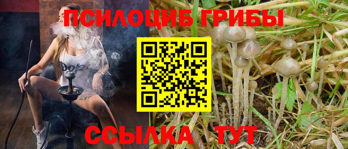Псилоцибиновые грибы прущие грибы  Вход с VPN  Вязьма 