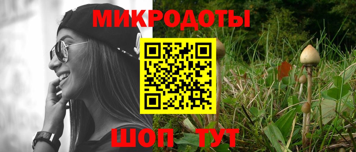Галлюциногенные грибы мицелий Вязьма